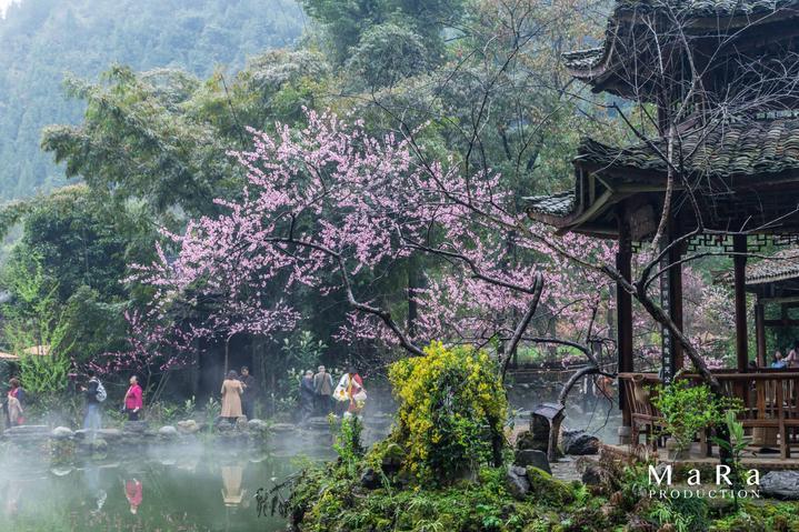 使用手动挡汽车的时候，熄火后可以挂档吗？